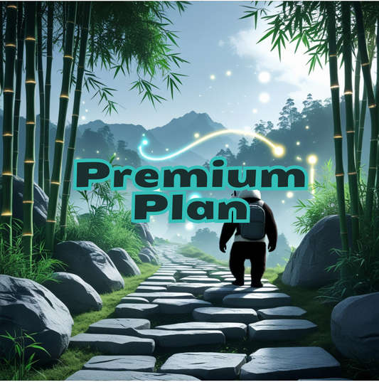 Premium Plan